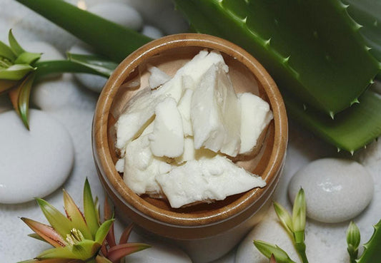 Natural Aloe Butter from Oiloherb for hydration and skin care