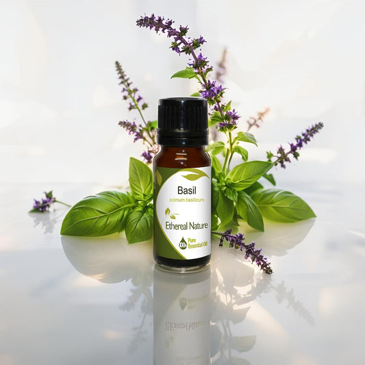 Αιθέριο Έλαιο Βασιλικού – Τόνωση, Διαύγεια & Βοτανική Φροντίδα - OiloHerb