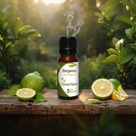 Περγαμόντο Αιθέριο Έλαιο – Φρεσκάδα, Ήρεμο Πνεύμα & Φροντίδα Δέρματος - OiloHerb