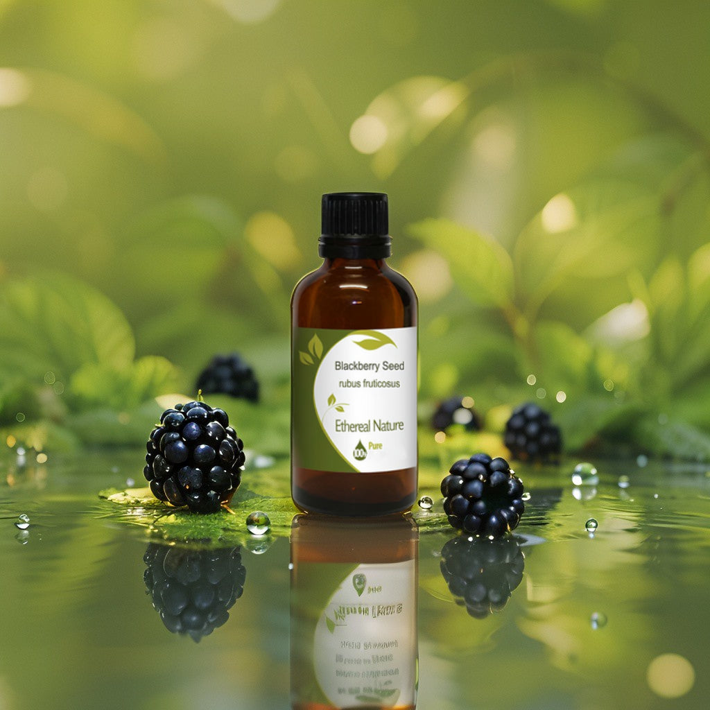 OiloHerb Blackberry Seed Oil – Hydration & Youthful Radiance