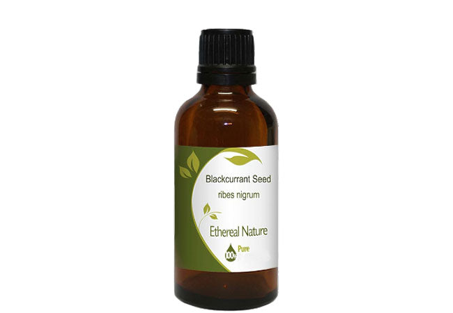 Blackcurrant Seed Oil – nourishing & protective