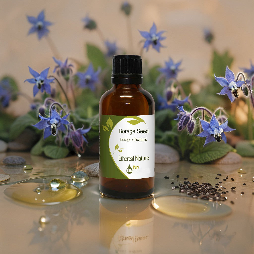 Borage Seed Oil – Intensive Repair