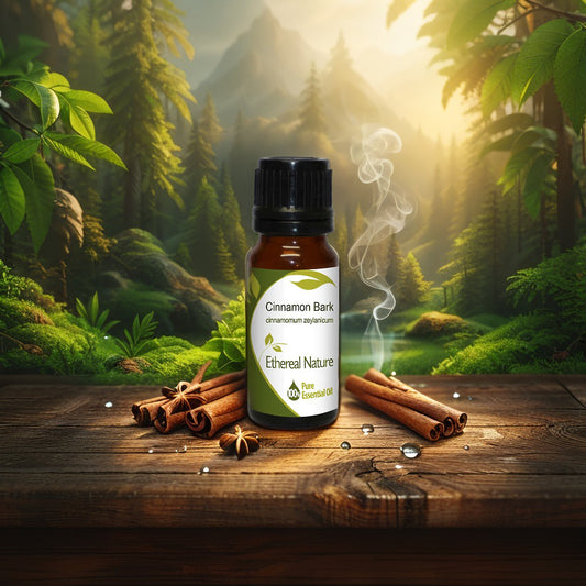 Κανέλα Φλοιός Αιθέριο Έλαιο - Φυσική Φροντίδα & Αναζωογόνηση - OiloHerb