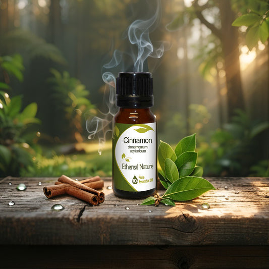 Κανέλα Φύλλο Αιθέριο Έλαιο - Θέρμη, Φροντίδα & Αναζωογόνηση - OiloHerb
