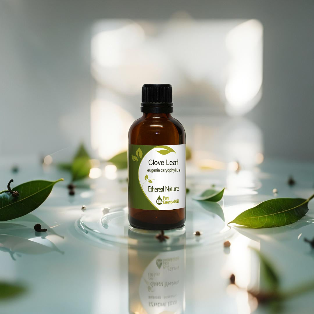 Clove Leaf Essential Oil - Natural product from Oiloherb for antiseptic & cosmetic use