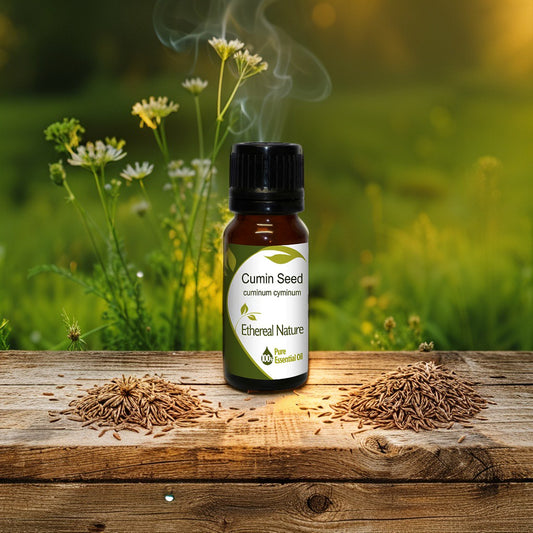 Κύμινο Αιθέριο Έλαιο - Ανακούφιση, Ευεξία & Φυσική Θρέψη - OiloHerb