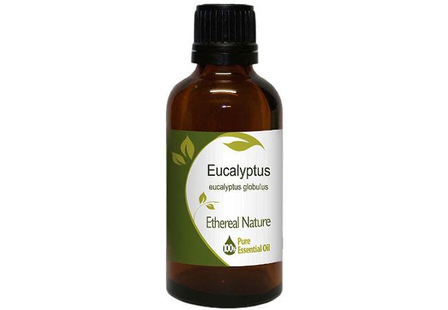 Natural eucalyptus essential oil