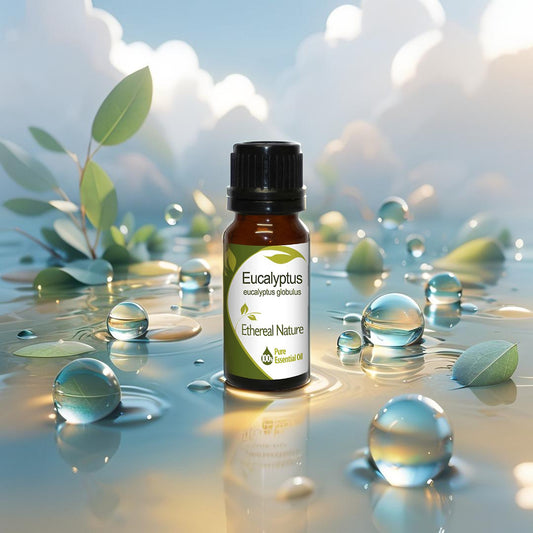 Αιθέριο Έλαιο Ευκαλύπτου – Καθαρή Αναπνοή & Ενέργεια - OiloHerb