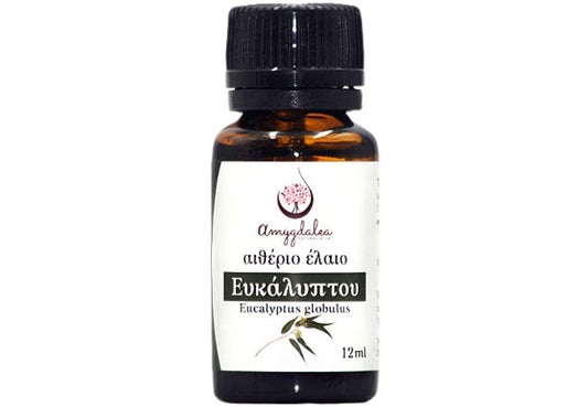 Greek Eucalyptus Essential Oil – refreshing eucalyptus aroma for skincare and wellness