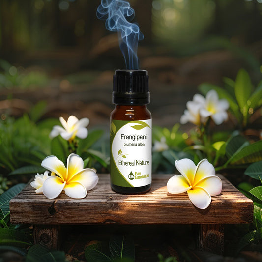 Frangipani Absolute Αιθέριο Έλαιο – Απολαύστε την Απόλυτη Αίσθηση Πολυτέλειας - OiloHerb