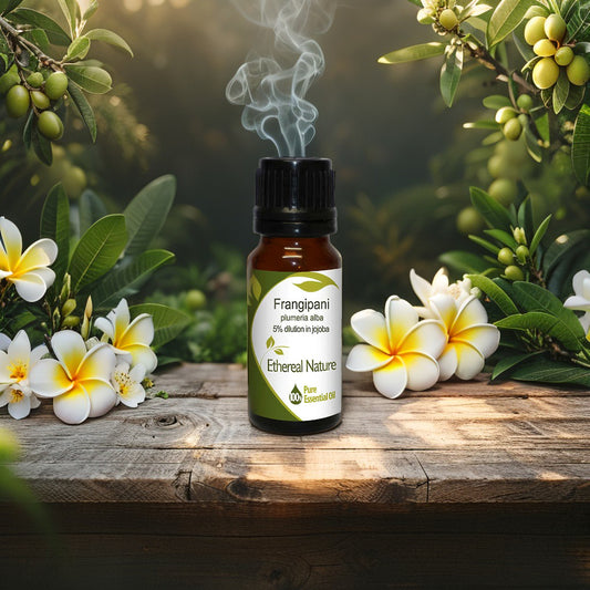 Frangipani Αιθέριο Έλαιο σε Λάδι Jojoba – Φυσική Πολυτέλεια - OiloHerb