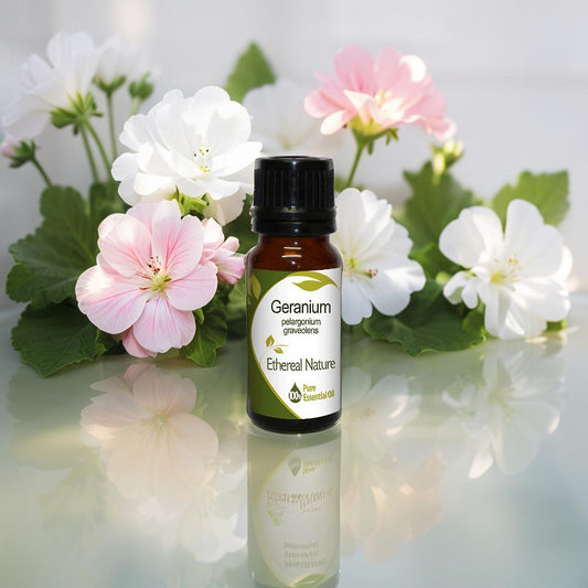 Geranium Essential Oil by Oiloherb – Geranium Essential Oil for Skin Glow and Aromatherapy