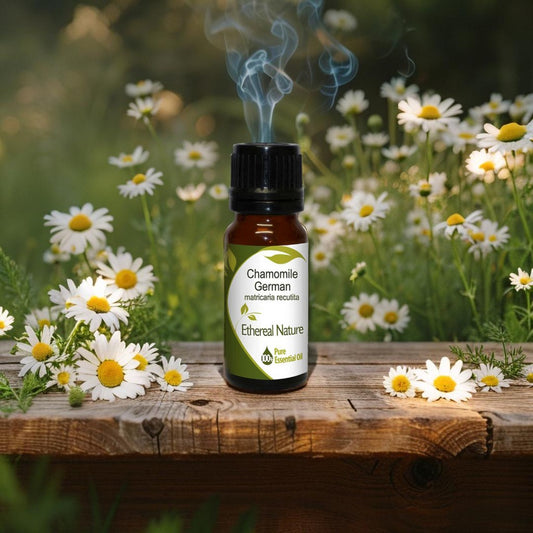 German Chamomile Αιθέριο Έλαιο – 100% Αγνό Matricaria chamomilla - OiloHerb