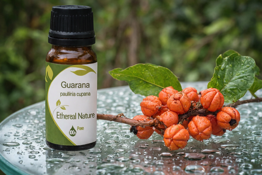 Guarana Εκχύλισμα - Ισχυρό Φυτικό Εκχύλισμα για Ενέργεια & Ομορφιά - OiloHerb