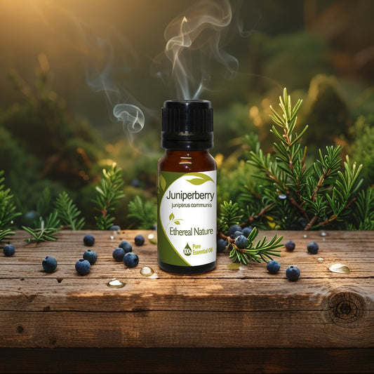 Κυπαρίσσι Άγριο (Juniperberry) Αιθέριο Έλαιο - Καθαρή Ευεξία & Αναζωογόνηση - OiloHerb