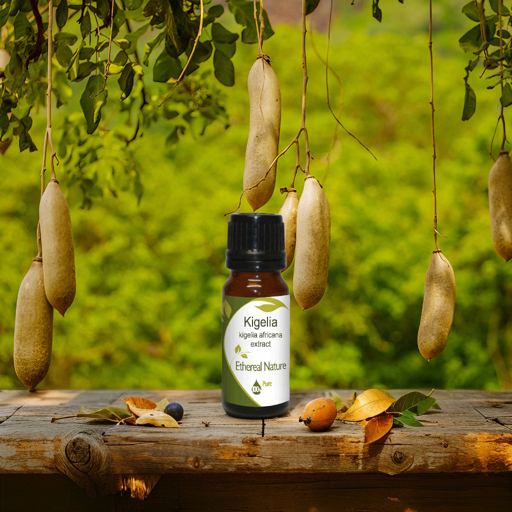 Kigelia Extract – Φυσικό Lifting Μπούστου