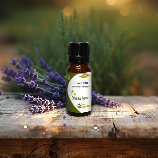 Λεβαντίνη Αιθέριο Έλαιο - Δύναμη, Ανακούφιση & Άρωμα - OiloHerb