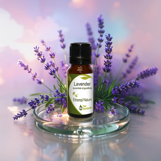 Lavender Essential Oil – Herbal oil for relaxation and calm