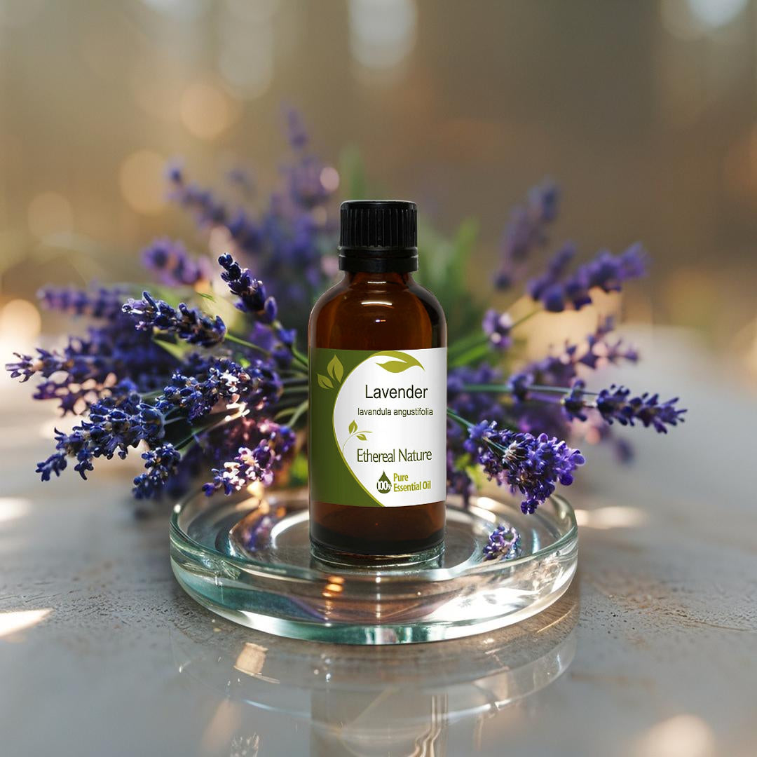 Lavender Essential Oil – Herbal oil for relaxation and calm