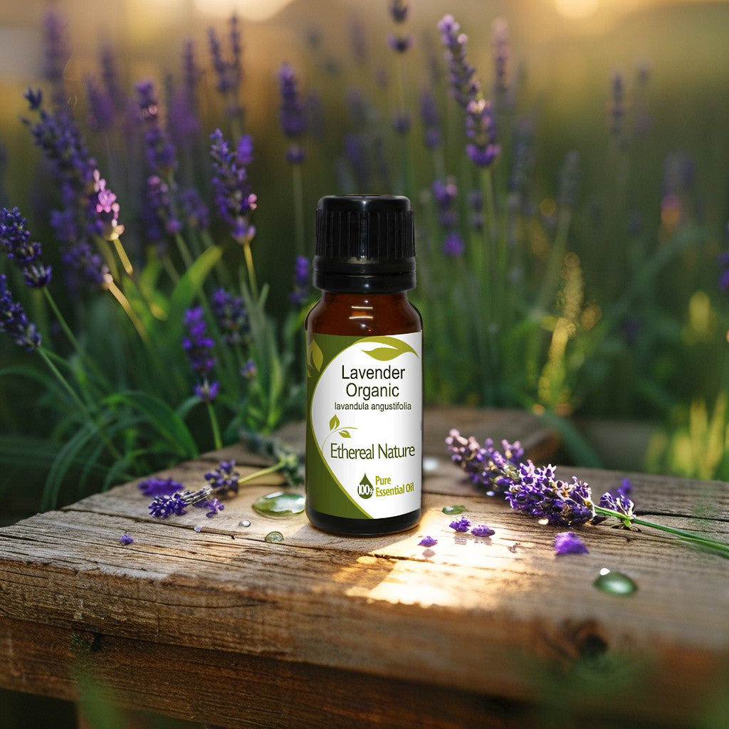 Λεβάντα Βιολογικό Αιθέριο Έλαιο - Χαλάρωση, Ύπνος & Δερματική Ευεξία - OiloHerb