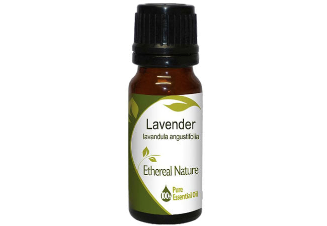 Lavender Essential Oil – Herbal oil for relaxation and calm