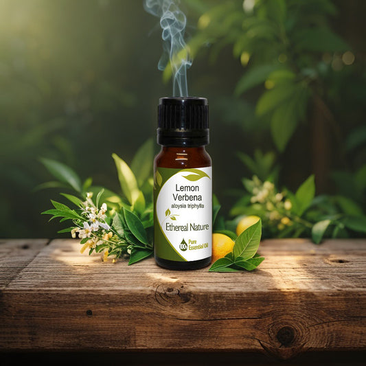 Λουίζα Αιθέριο Έλαιο – Φρεσκάδα και Ευεξία - OiloHerb