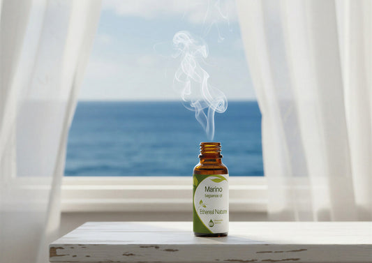Marino Fragrance Oil - Marine Scent with Lime, Basil & Pink Pepper Notes