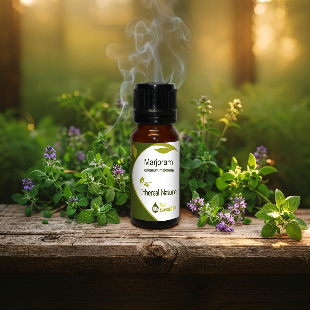 Marjoram essential oil – soothing calm & natural relief