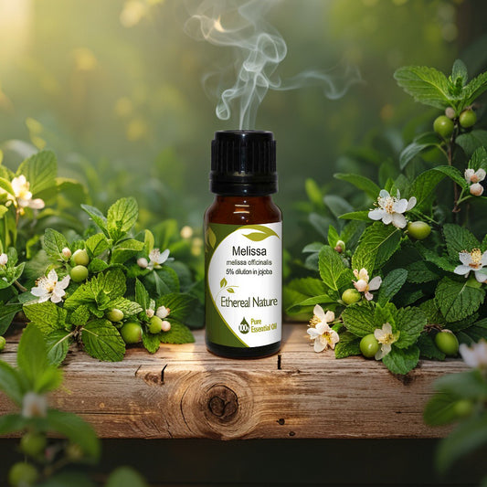 Μελισσόχορτο Αιθέριο Έλαιο σε Jojoba – Ηρεμία & Φυσική Φροντίδα - OiloHerb