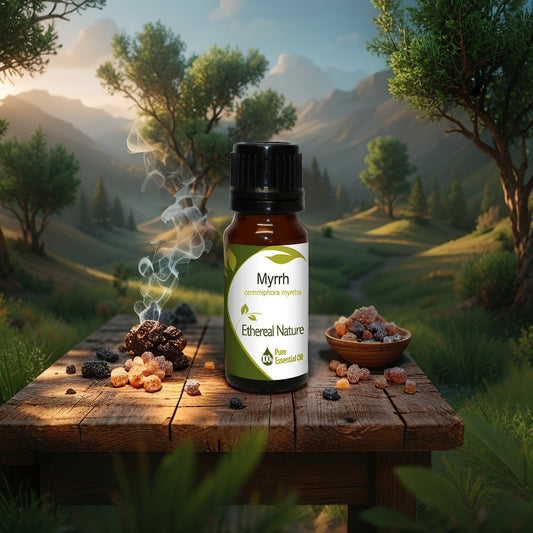 Μύρο Αιθέριο Έλαιο – Αναγέννηση, Προστασία & Ισορροπία - OiloHerb