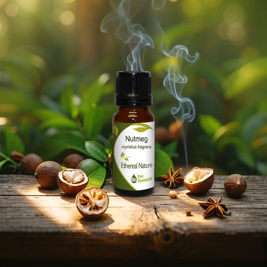 Warm nutmeg essential oil – holistic relief & aromatic wellness