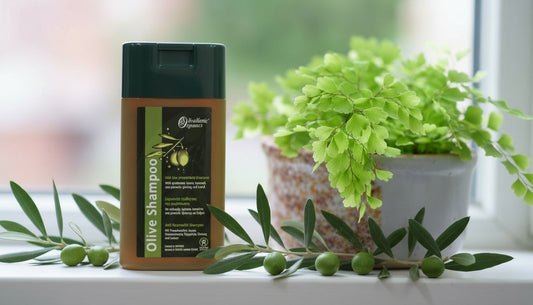 Olive Shampoo με Πολυτρίχι & Δάφνη | Σαμπουάν για Ενδυνάμωση και Φροντίδα της Τρίχας - OiloHerb