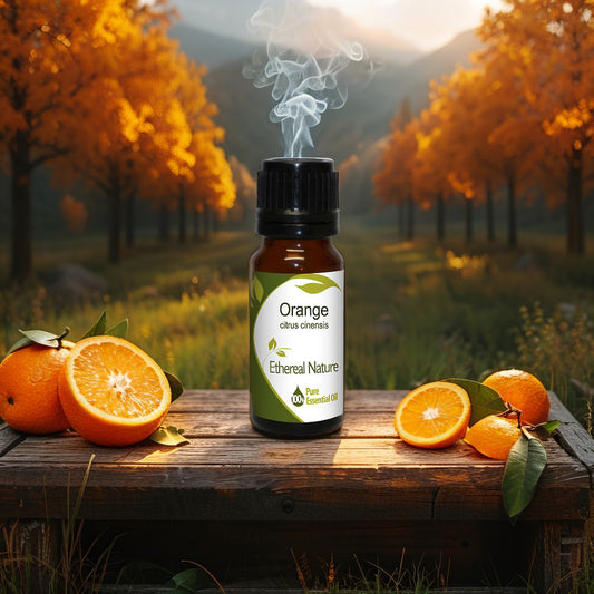 Πορτοκάλι Αιθέριο Έλαιο – Φυσική Ευεξία & Ευχάριστη Ενέργεια - OiloHerb
