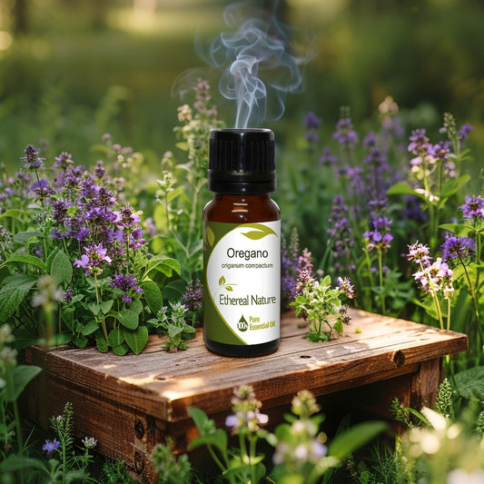 Ρίγανη Μαρόκου Αιθέριο Έλαιο – Φυσική Αντιμικροβιακή Δύναμη - OiloHerb