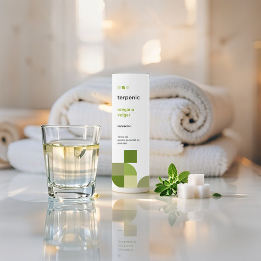 Organic Oregano Vulgare Essential Oil for Oral Use