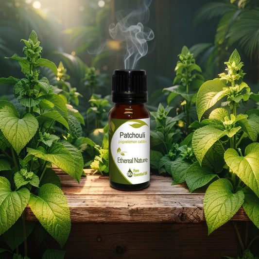 Patchouli Αιθέριο Έλαιο - Φροντίδα Δέρματος & Ήρεμη Ευεξία