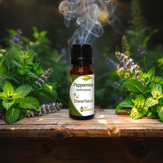 Μέντα Αιθέριο Έλαιο για Απόλυτη Φρεσκάδα & Τόνωση - OiloHerb