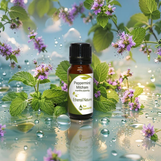 Δυόσμος Άγριος Αιθέριο Έλαιο – Η Δύναμη της Φρεσκάδας