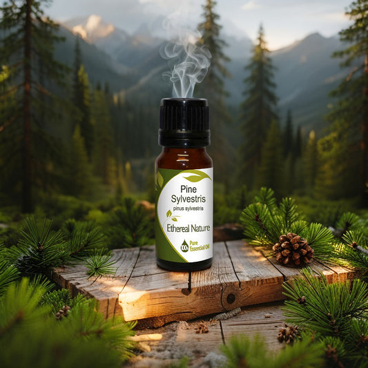 Πεύκο Αιθέριο Έλαιο – Φυσική Τόνωση & Απολύμανση - OiloHerb