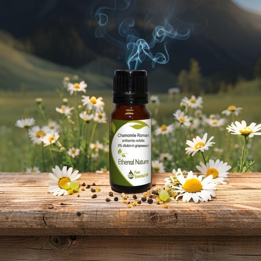 Roman Chamomile 5% σε Grapeseed Oil – Καταπραϋντικό & Θρεπτικό - OiloHerb