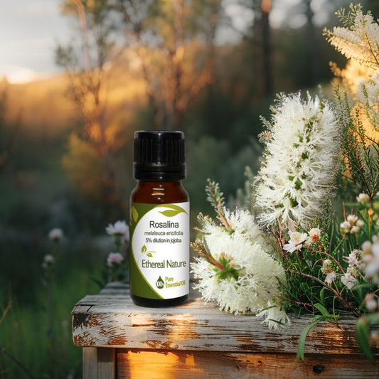 Ροζαλίνα 5% Αιθέριο Έλαιο σε Τζοτζόμπα – Χαλάρωση & Αναπνοή