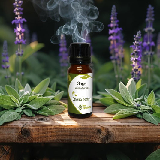 OiloHerb Sage Essential Oil bottle – purifying herbal fragrance