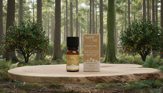 Scafell Pike Cypress Mandarin Ho Wood essential oil blend – Agnes + Cat