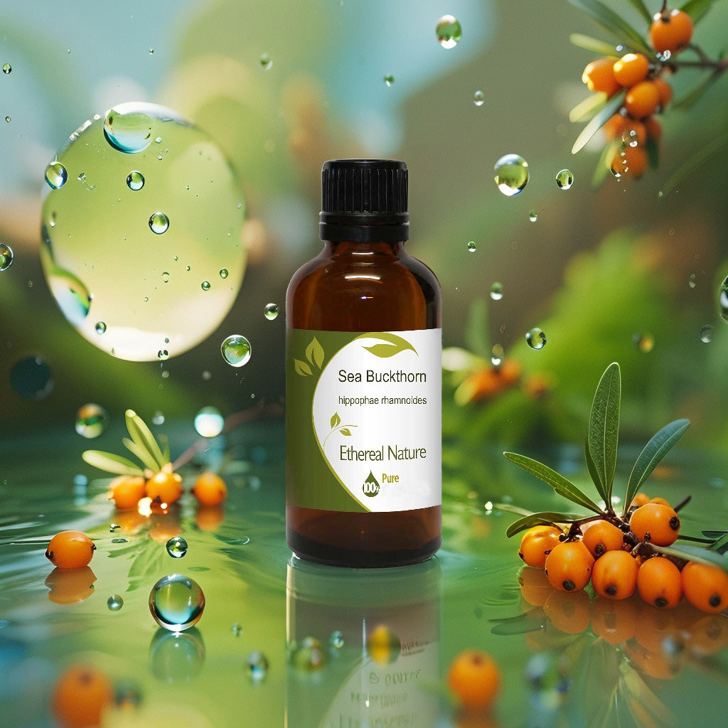 Έλαιο Ιπποφαούς OiloHerb – Βαθιά Ενυδάτωση & Ανάπλαση.