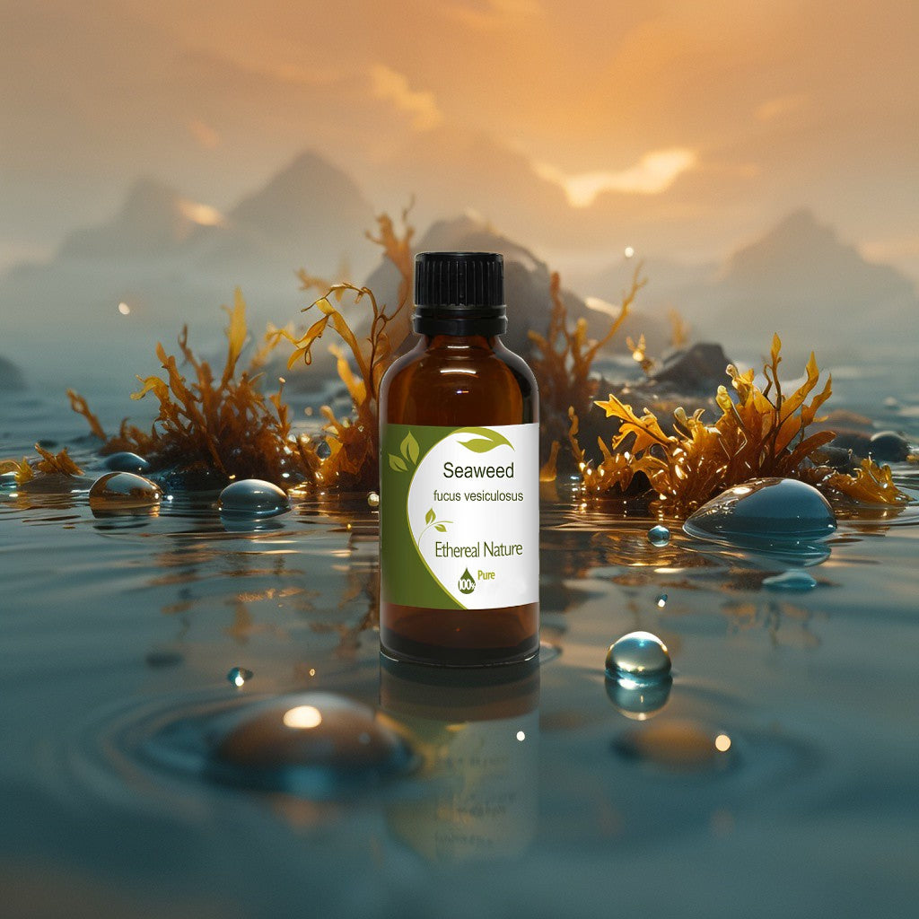 Seaweed Έλαιο – Ενυδάτωση & Επανόρθωση Δέρματος