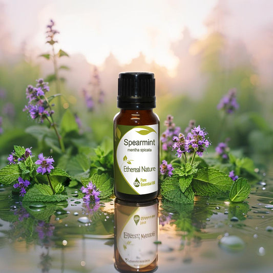 Αιθέριο Έλαιο Δυόσμου – Αναπνοή Φρεσκάδας - OiloHerb