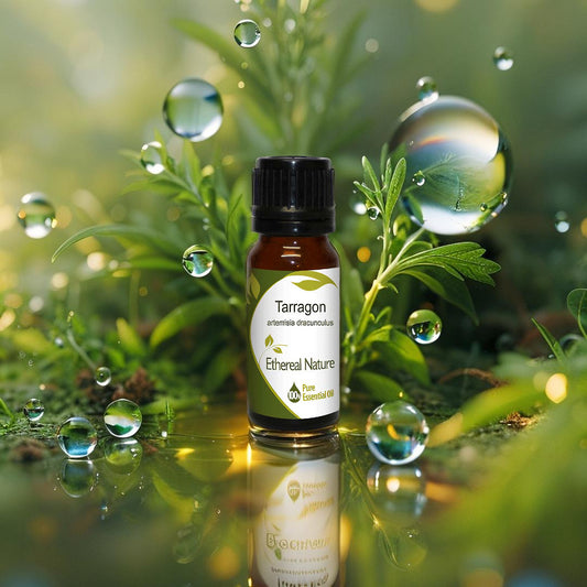 Αιθέριο Έλαιο Εστραγκόν – Φυσική Τόνωση & Ενέργεια