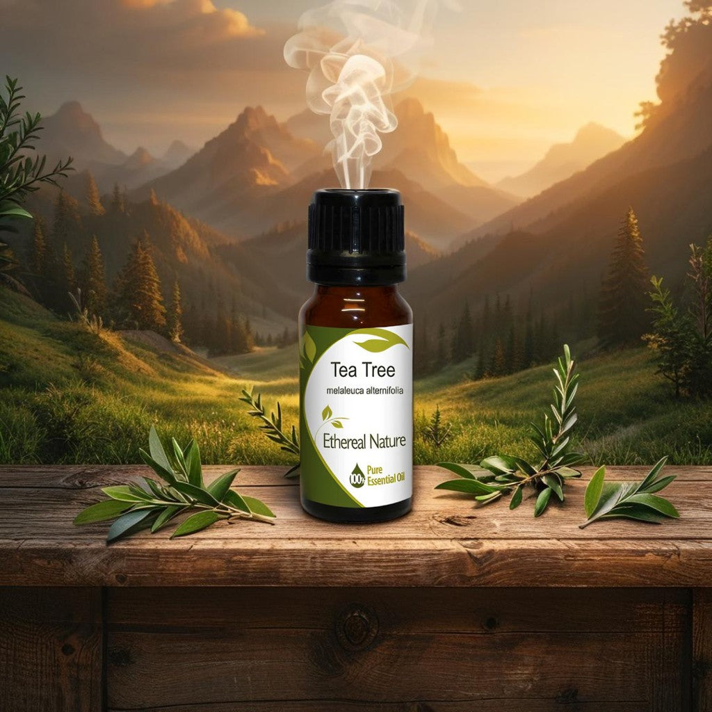Tea Tree Essential Oil – Nature’s Cleansing Antiseptic