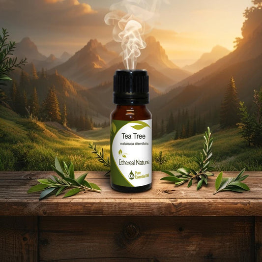 Tea Tree Essential Oil – Απολύμανση & Καθαρότητα στο δέρμα - OiloHerb