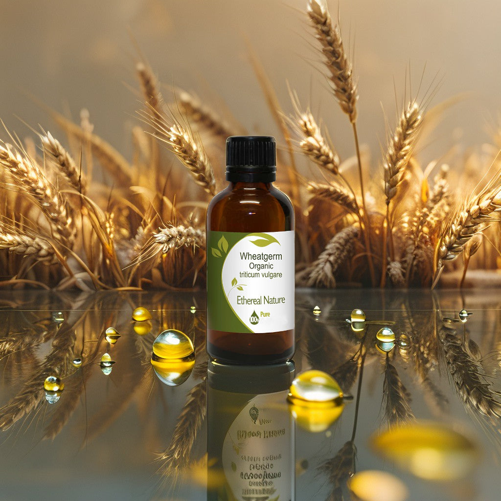 OiloHerb Wheatgerm Oil – natural hydration & skin revitalization